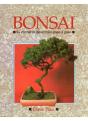 Bonsai. Correcto Desarrollo Paso A Paso - Preview