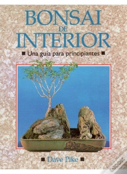 Capa do artigo Bonsai De Interior. Guia Principiantes