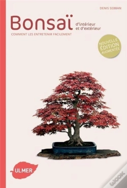 Capa do artigo Bonsaï D'Intérieur Et D'Extérieur ; Comment Les Entretenir Facilement