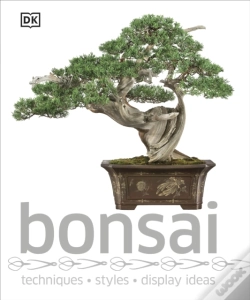 Capa do artigo Bonsai