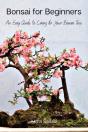 Bonsai For Beginners - Preview