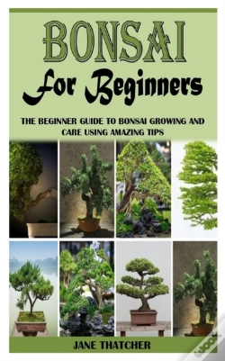 Capa do artigo Bonsai For Beginners