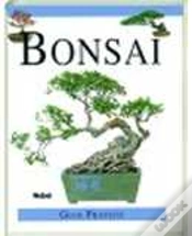 Capa do artigo Bonsai - Guia Prático