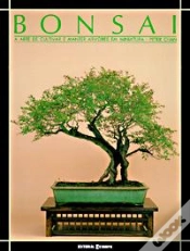 Capa do artigo Bonsai