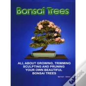 Capa do artigo Bonsai Trees
