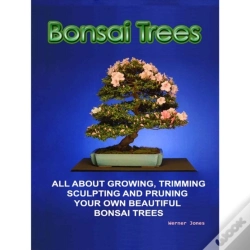 Capa do artigo Bonsai Trees