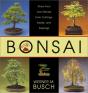 Bonsai - Preview