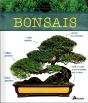 Bonsaïs - Preview