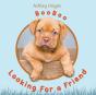 Booboo Looking For A Friend - Preview