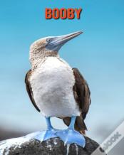 Booby
