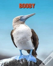 Capa do artigo Booby