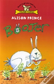 Capa do artigo Boojer