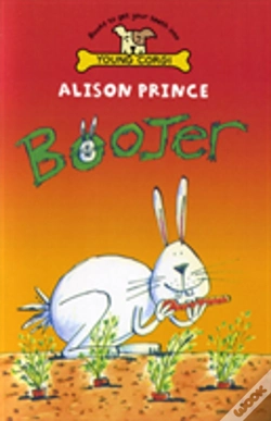 Capa do artigo Boojer