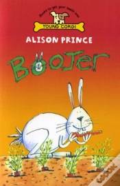 Capa do artigo Boojer
