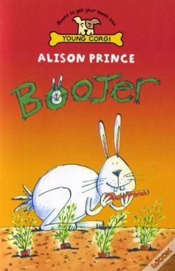 Capa do artigo Boojer