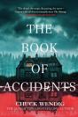 Book Of Accidents - Preview
