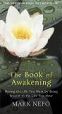 Book Of Awakening - Preview