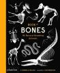 Book Of Bones - Preview