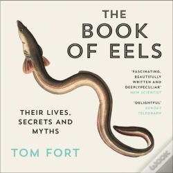 Capa do artigo Book Of Eels
