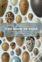 Capa do artigo Book Of Eggs