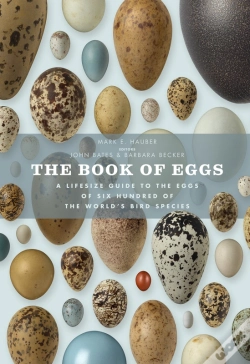 Capa do artigo Book Of Eggs