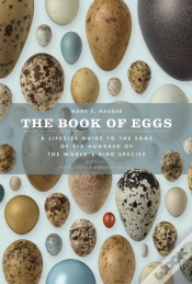 Capa do artigo Book Of Eggs