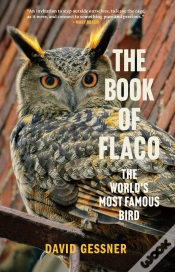 Capa do artigo Book Of Flaco