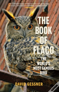 Capa do artigo Book Of Flaco