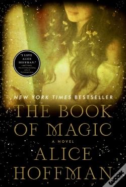 Capa do artigo Book Of Magic (Practical Magic 2)
