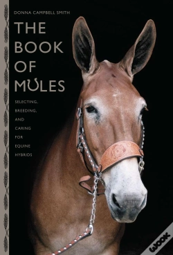 Capa do artigo Book Of Mules