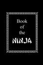 Book Of The Ninja - Preview