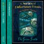 Book The Eleventh - The Grim Grotto - Preview