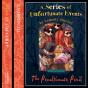 Book The Twelfth - The Penultimate Peril - Preview