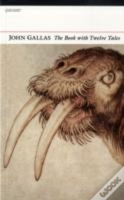 Capa do artigo Book With Twelve Tales