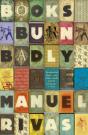 Books Burn Badly - Preview