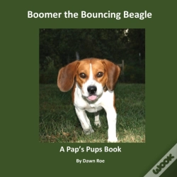 Capa do artigo Boomer The Bouncing Beagle