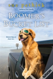 Capa do artigo Boomer