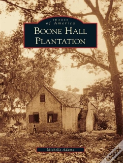 Capa do artigo Boone Hall Plantation
