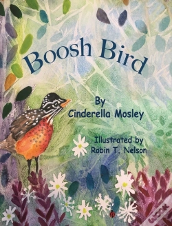 Capa do artigo Boosh Bird