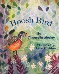 Capa do artigo Boosh Bird