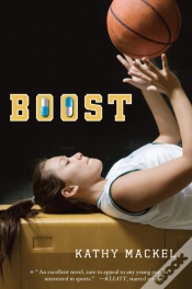 Capa do artigo Boost