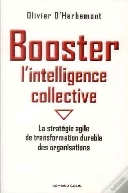 Capa do artigo Booster L'Intelligence Collective ; Des Projets Complexes Menés Plus Rapidement Et Plus Simplement