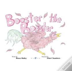 Capa do artigo Booster The Rooster