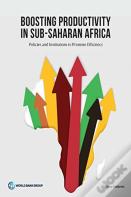 Boosting Productivity In Sub-Saharan Africa