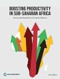 Boosting Productivity In Sub-Saharan Africa - Preview