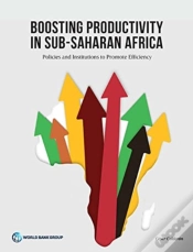 Capa do artigo Boosting Productivity In Sub-Saharan Africa