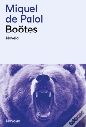 Capa do artigo Boötes