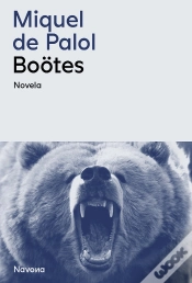 Capa do artigo Bootes