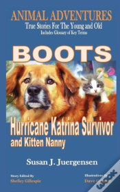 Capa do artigo Boots