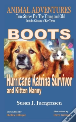 Capa do artigo Boots